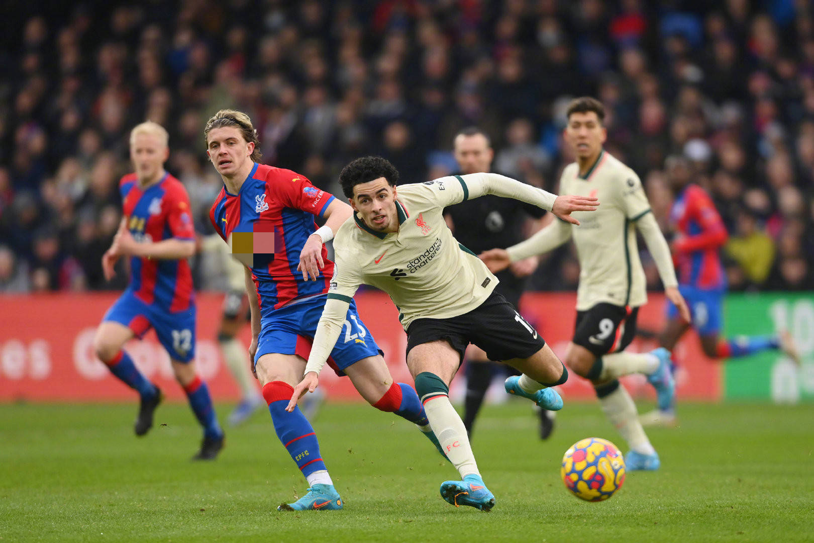 尤其是在婚 尤其是在婚